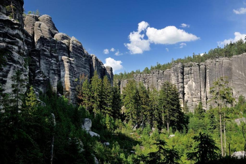 Penzion U Pesiku Červený Kostelec Exteriör bild